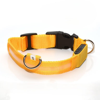 RoyalTails GlowGuard LED-Halsband